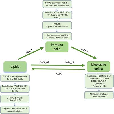 Role of myeloid cells in mediating the effects of lipids on ulcerative colitis